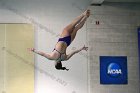 Women's Diving  Wheaton College Women’s Diving vs Mount Holyoke College. - Photo by Keith Nordstrom : Wheaton, Swimming & Diving